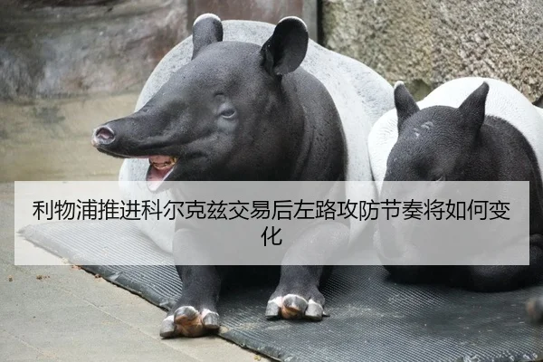 li-wu-pu-tui-jin-ke-er-ke-zi-jiao-yi-hou-zuo-lu-gong-fang-jie-zou-jiang-ru-he-bian-hua-2-423.jpg