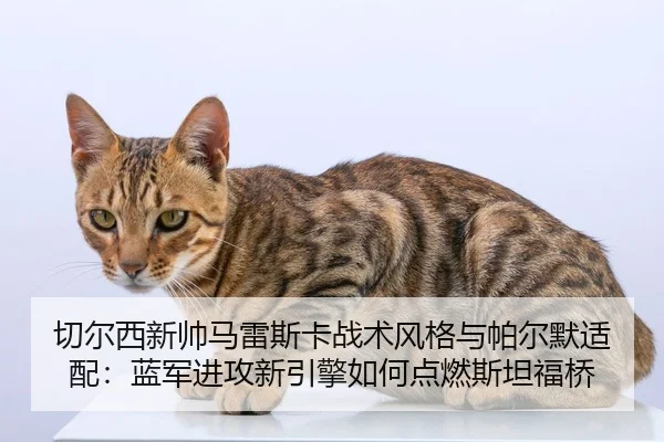 qie-er-xi-xin-shuai-ma-lei-si-ka-zhan-shu-feng-ge-yu-pa-er-mo-shi-pei-lan-jun-jin-gong-xin-yin-qing-ru-he-dian-ran-si-2-923.jpg